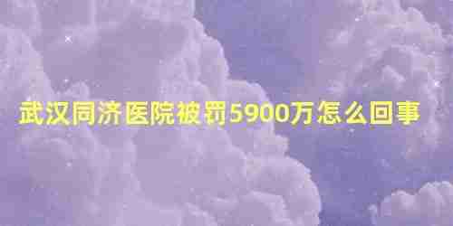 武汉同济医院被罚5900万怎么回事